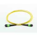 MPO Fiber Optic Patch Cord